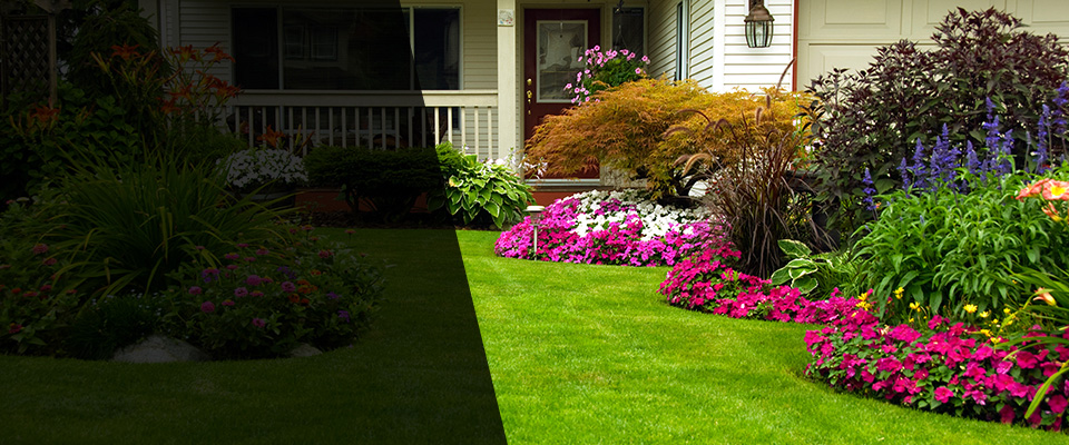 Vienna Landscapers