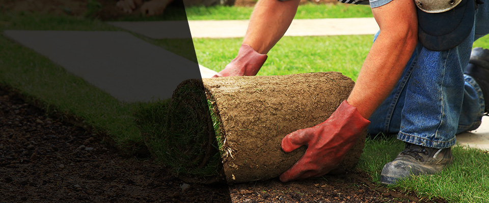 Vienna Landscapers